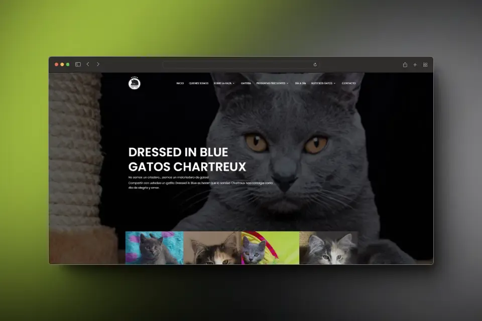 Dressed in Blue business website preview